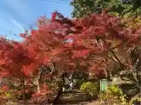円通寺(兵庫県)