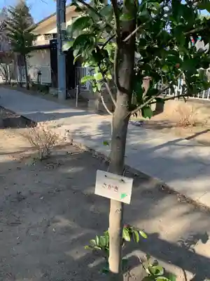 比呂佐和神社の自然