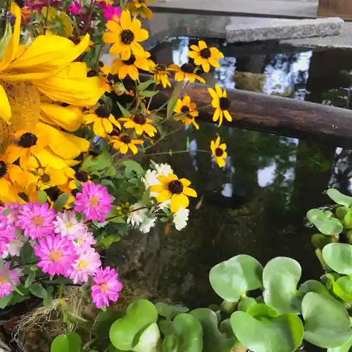 高司神社〜むすびの神の鎮まる社〜の自然