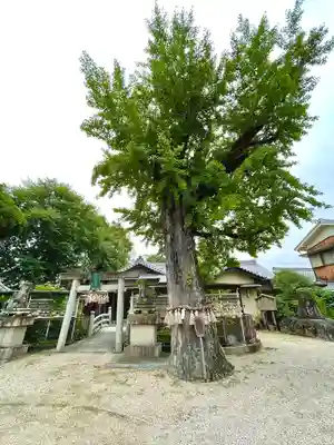 市杵島姫神社の自然