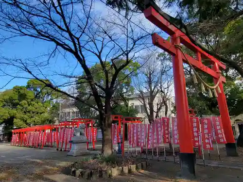 於菊稲荷神社の鳥居