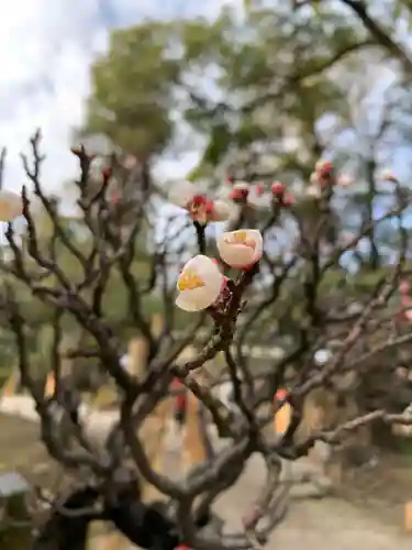 神社(慶雲館)(滋賀県)