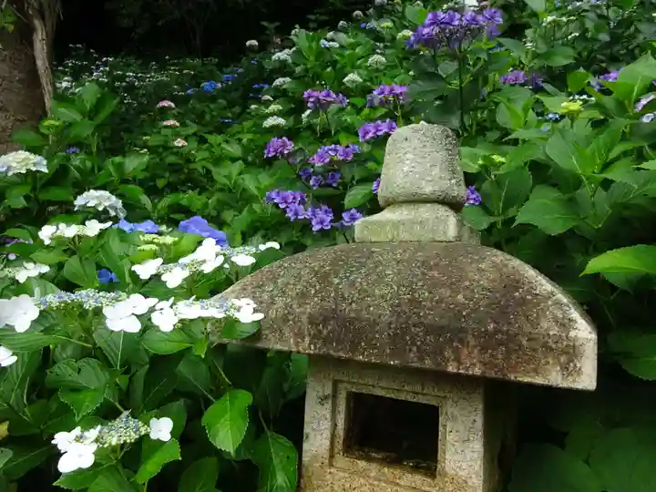 長谷寺(神奈川県)