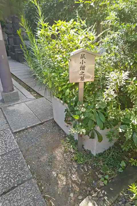 回向院(東京都)
