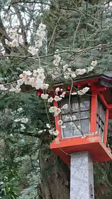 谷保天満宮のその他建物