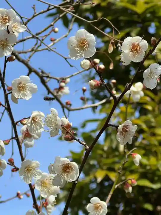 伊勢の国 四天王寺(三重県)