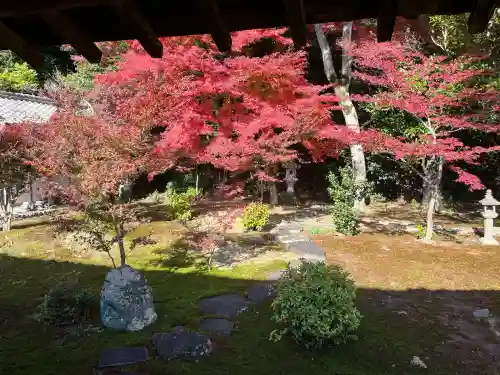 行基寺(岐阜県)