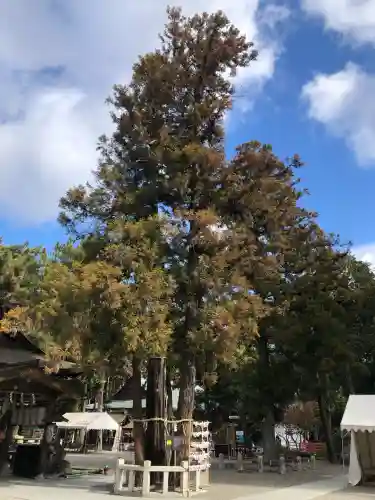 建部大社の{uncategorized: "未分類", other: "その他", undefined: "問題あり", building: "その他建物", grave: "お墓", sacred_gate: "鳥居", guardian: "狛犬", statue: "像", buddha: "仏像", history: "歴史", nature: "自然", garden: "庭園", animal: "動物", pagoda: "塔", temizu: "手水舎", mountain_gate: "山門・神門", sanctuary: "本殿・本堂", subordinate: "末社・摂社", art: "芸術", scenery: "景色", jizo: "地蔵", ema: "絵馬", goshuin: "御朱印", omikuji: "おみくじ", items: "授与品その他", amulet: "お守り", goshuincho: "御朱印帳", eats: "食事", festival: "お祭り", votive_dance: "神楽", shichigosan: "七五三参", wedding: "結婚式", experience: "体験その他", initially: "初詣", around: "周辺", anti_infection: "感染症対策"}