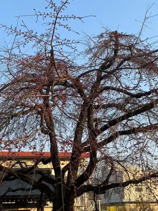 観音神社(広島県)