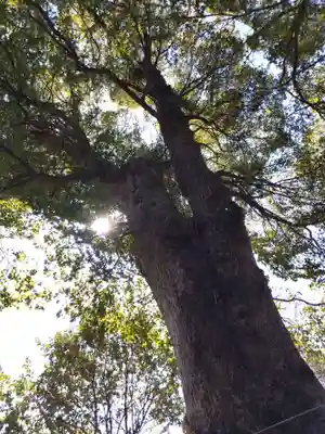 細江神社(静岡県)