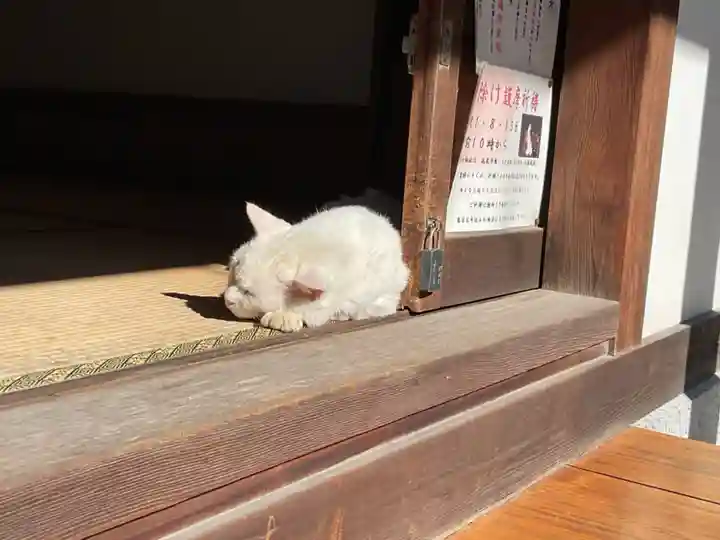 宝寿院(愛知県)