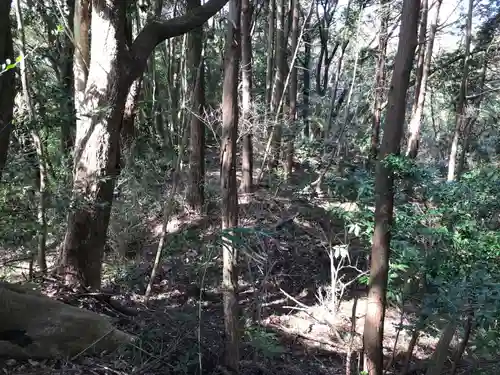 旧愛宕神社の自然