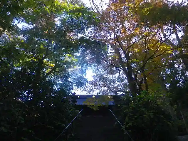 妙本寺のその他建物