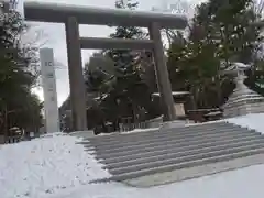 北海道神宮の鳥居