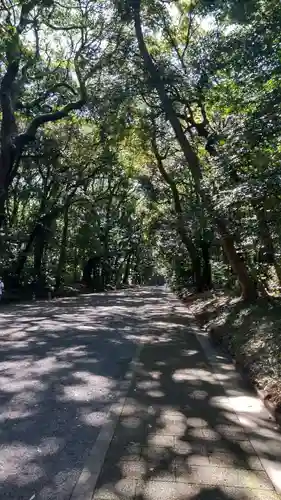 明治神宮の自然