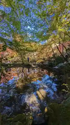 圓光寺(京都府)