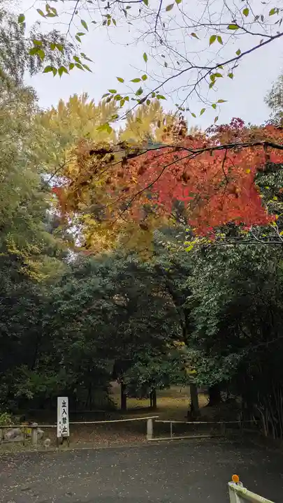 観音寺(山崎聖天)(京都府)