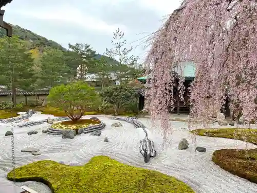 高台寺（高台寿聖禅寺・高臺寺）の庭園