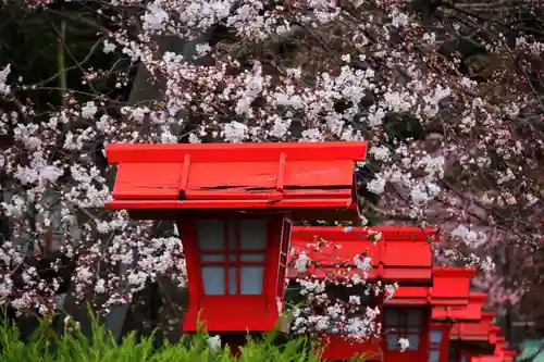 神炊館神社 ⁂奥州須賀川総鎮守⁂の景色