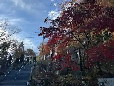 武蔵御嶽神社(東京都)