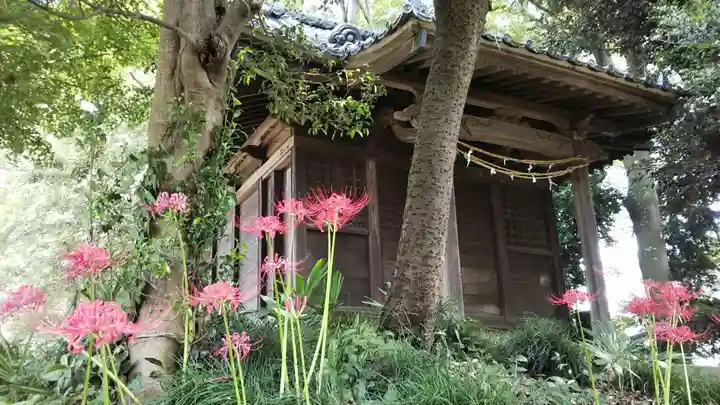 駒形神社(千葉県)