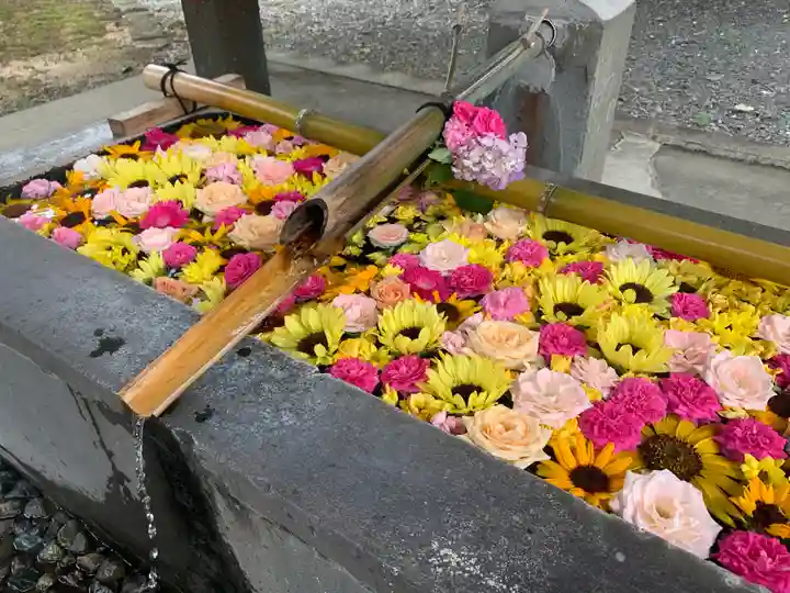 美濃國一宮 南宮大社の手水舎