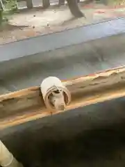 小垣江神明神社の手水