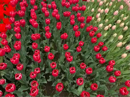 泉蔵寺(神奈川県)