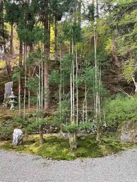 東光寺(岐阜県)