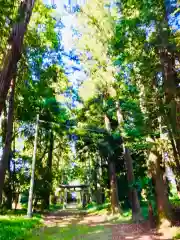 楯縫神社の鳥居