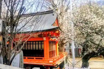 花園神社(東京都)