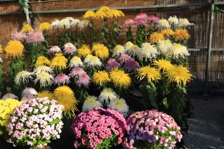 橿原神宮(奈良県)