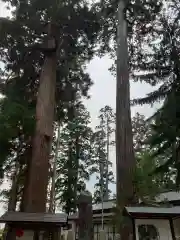 八坂神社の建物その他