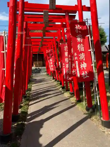 於菊稲荷神社(群馬県)