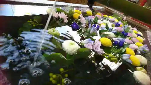 浅草神社の手水舎
