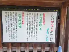 護王神社の歴史