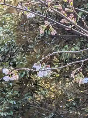 神明氷川神社(東京都)