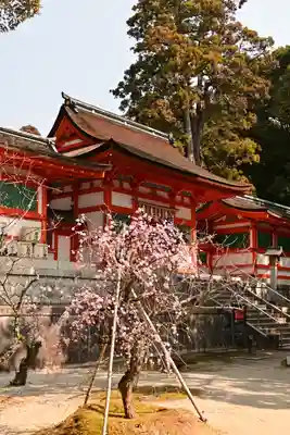 香椎宮(福岡県)