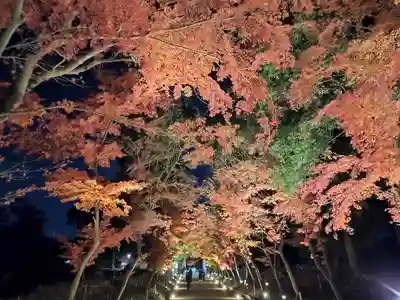 醍醐寺(京都府)