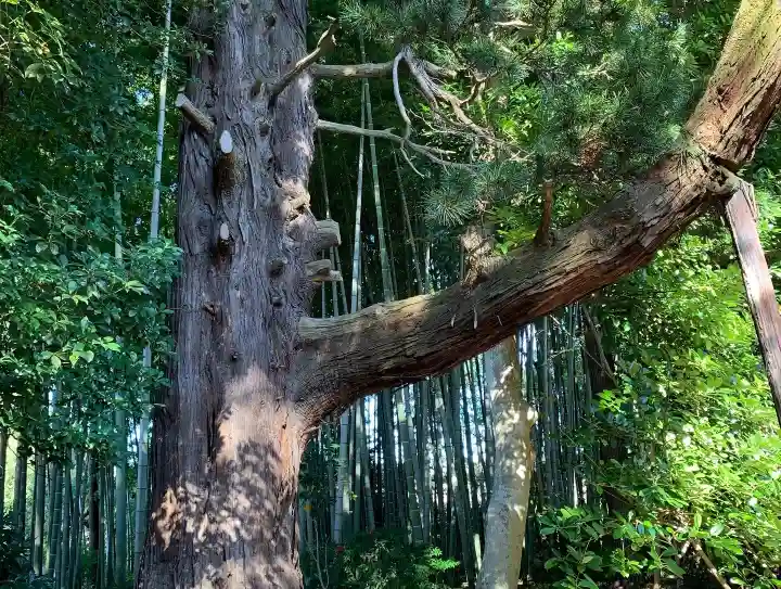 天翁院(栃木県)