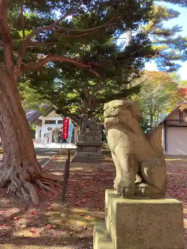 北広島市総鎮守　廣島神社の狛犬