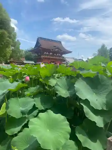 伊賀八幡宮(愛知県)