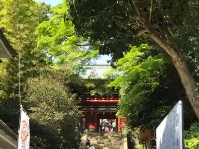 久能山東照宮の山門・神門