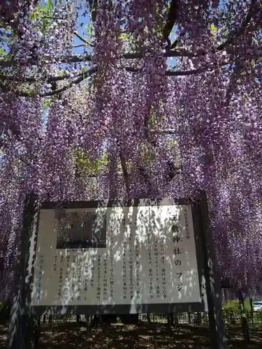 玉敷神社の庭園