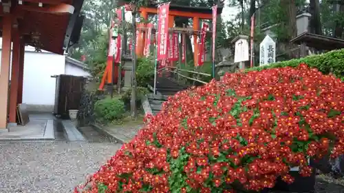 長岡天満宮の庭園