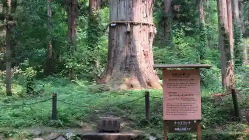 出羽神社(出羽三山神社)～三神合祭殿～のその他建物
