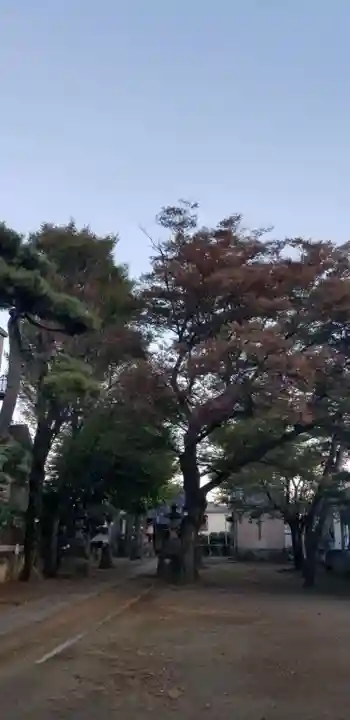 上小岩天祖神社の自然