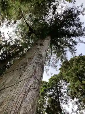 御岩神社(茨城県)