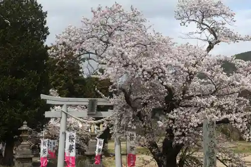 高司神社〜むすびの神の鎮まる社〜の鳥居
