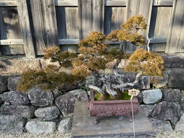 龍泉庵(京都府)